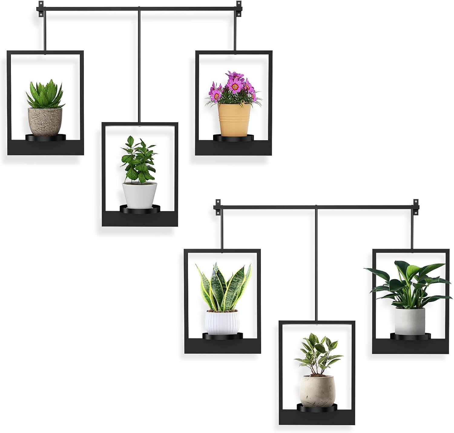 Wall Plant Holder Frame