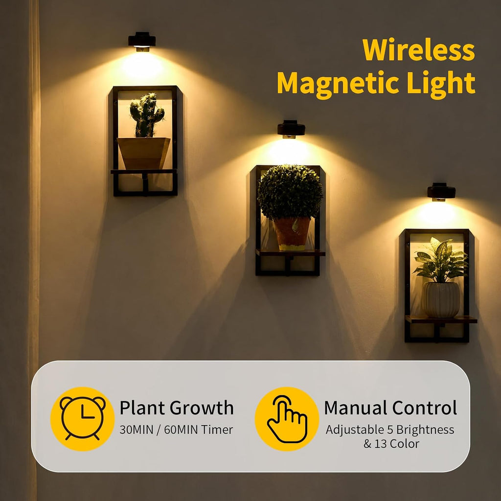 3 Pack Wall Planters With Grow Lights