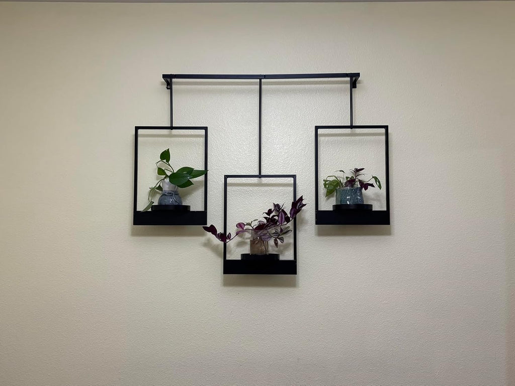 Wall Plant Holder Frame