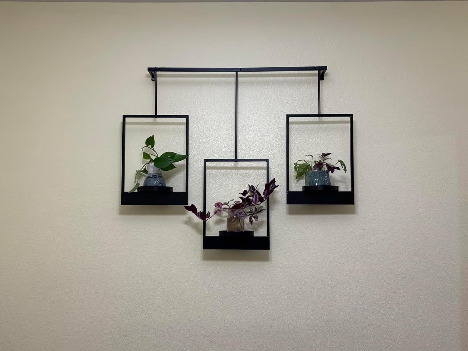 Wall Plant Holder Frame