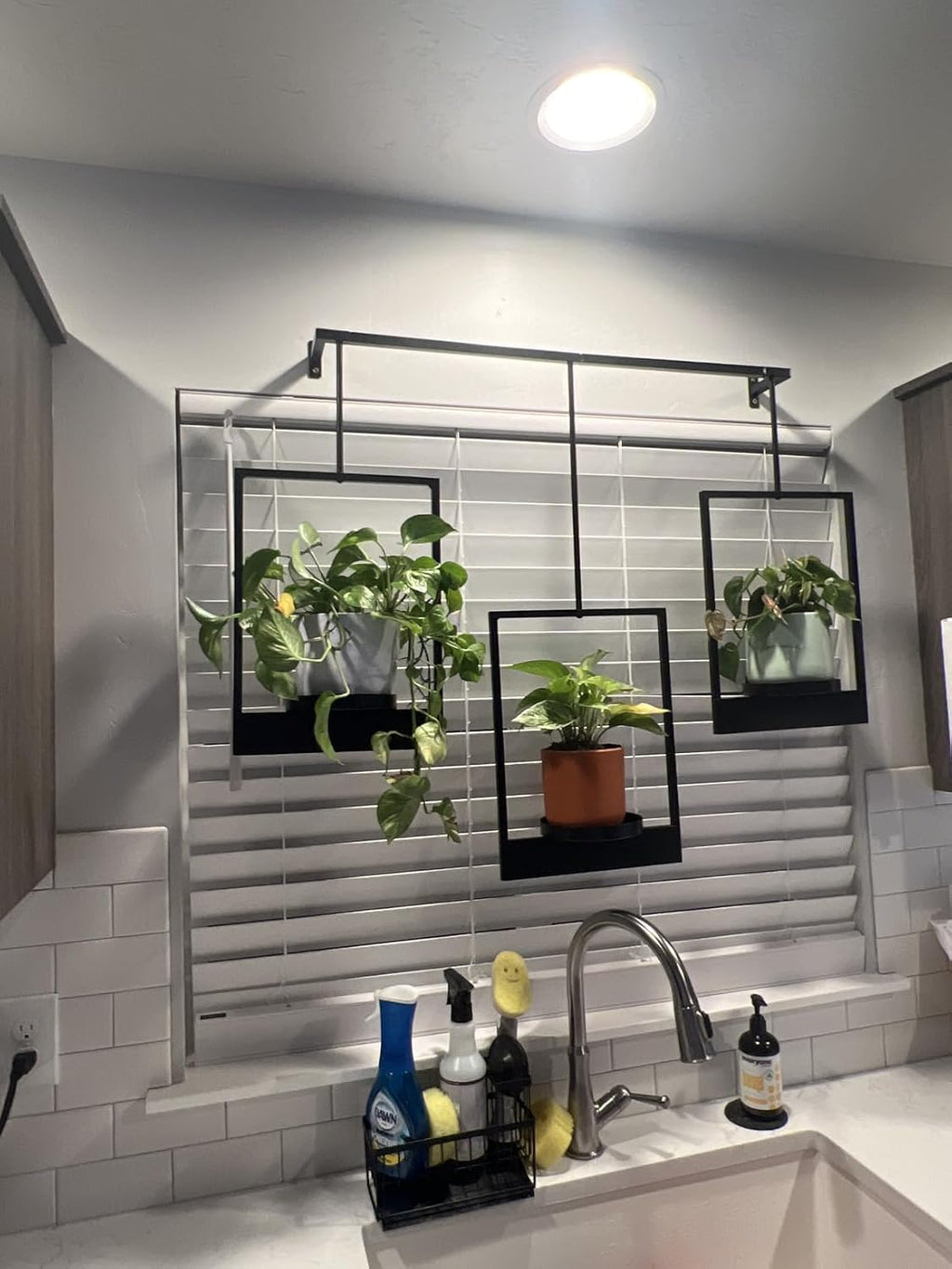 Wall Plant Holder Frame