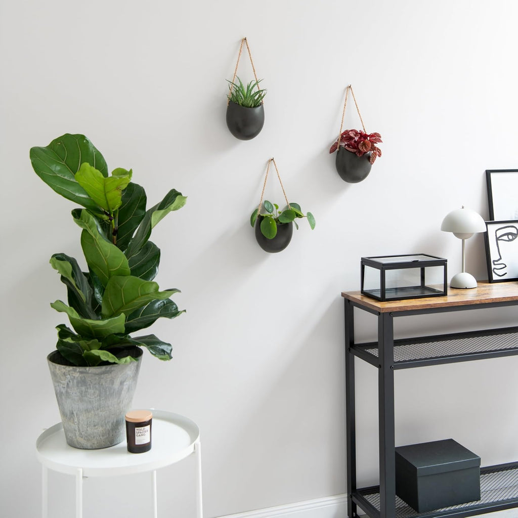Kazai Ellie 3 Ceramic Wall Planters