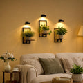 3 Pack Wall Planters With Grow Lights