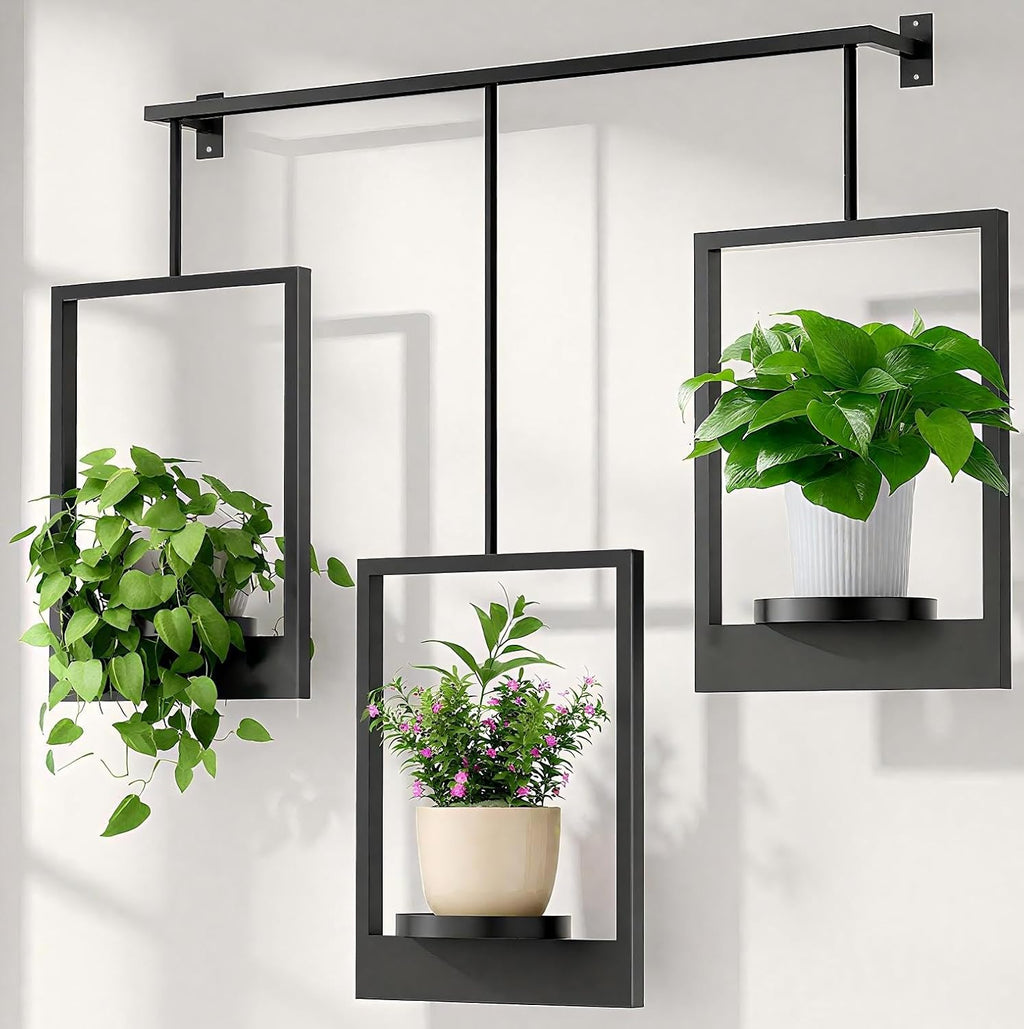 Wall Plant Holder Frame