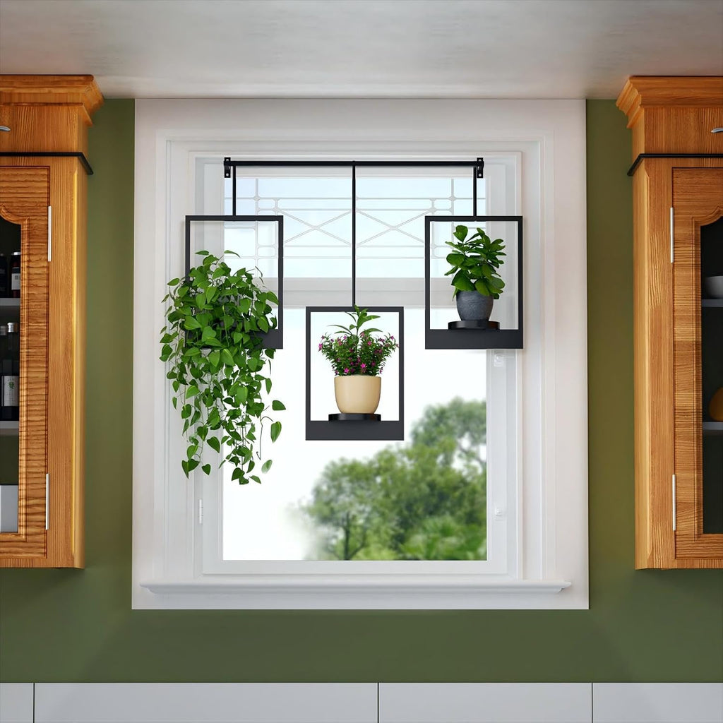 Wall Plant Holder Frame
