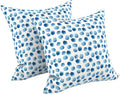 XIII Brush Blue 18"x18" Throw Pillows Set of 2