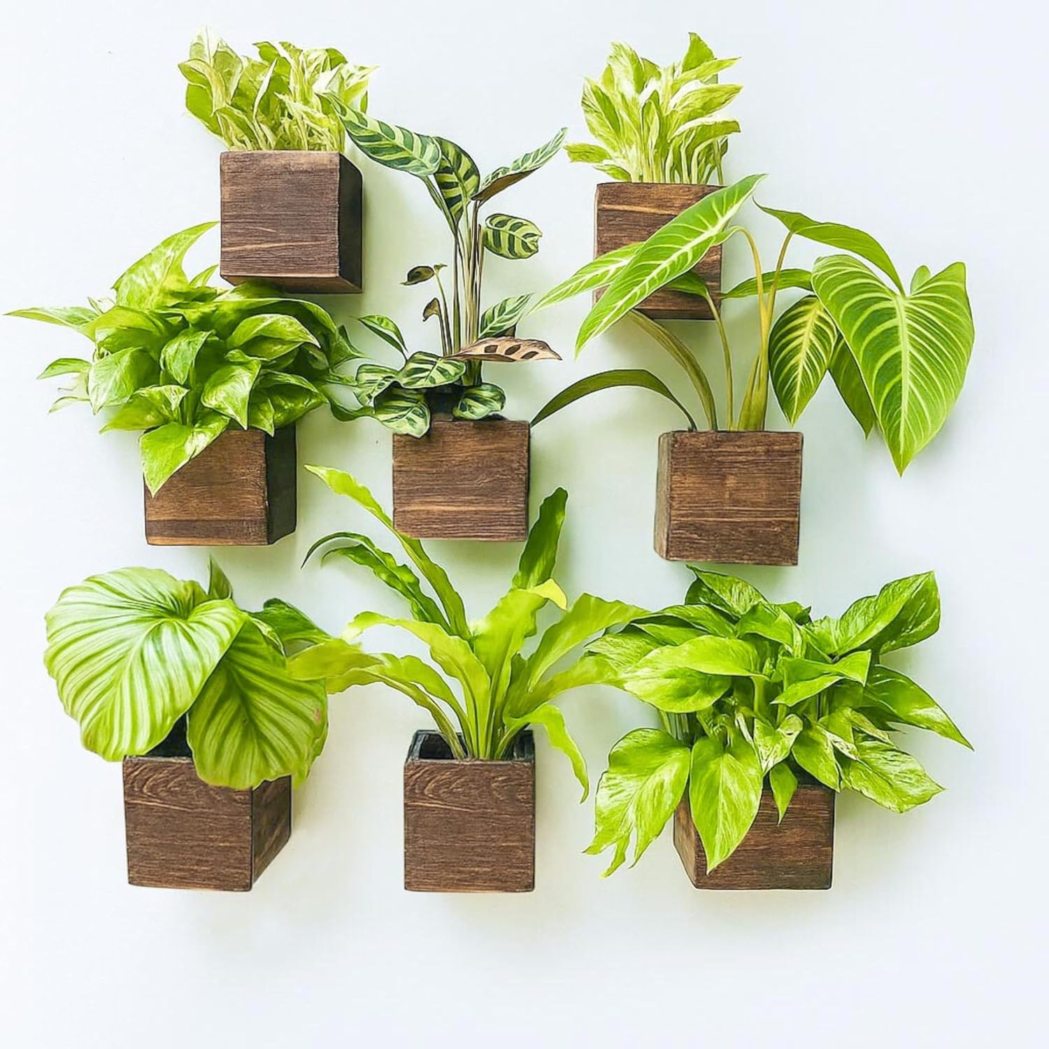 LaLaGreen 8 Pack Wooden Wall Planter Boxes