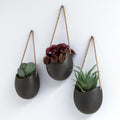 Kazai Ellie 3 Ceramic Wall Planters