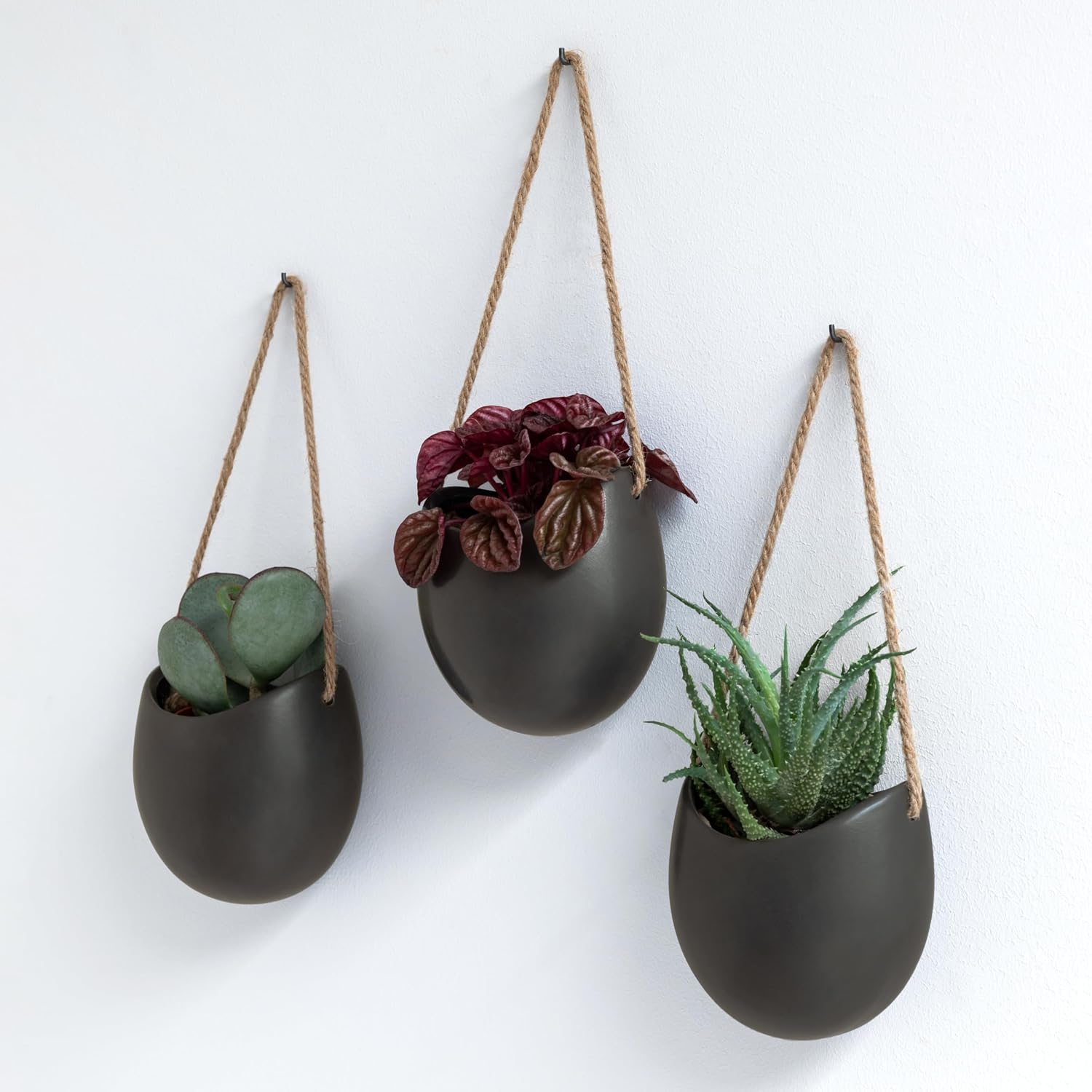 Kazai Ellie 3 Ceramic Wall Planters