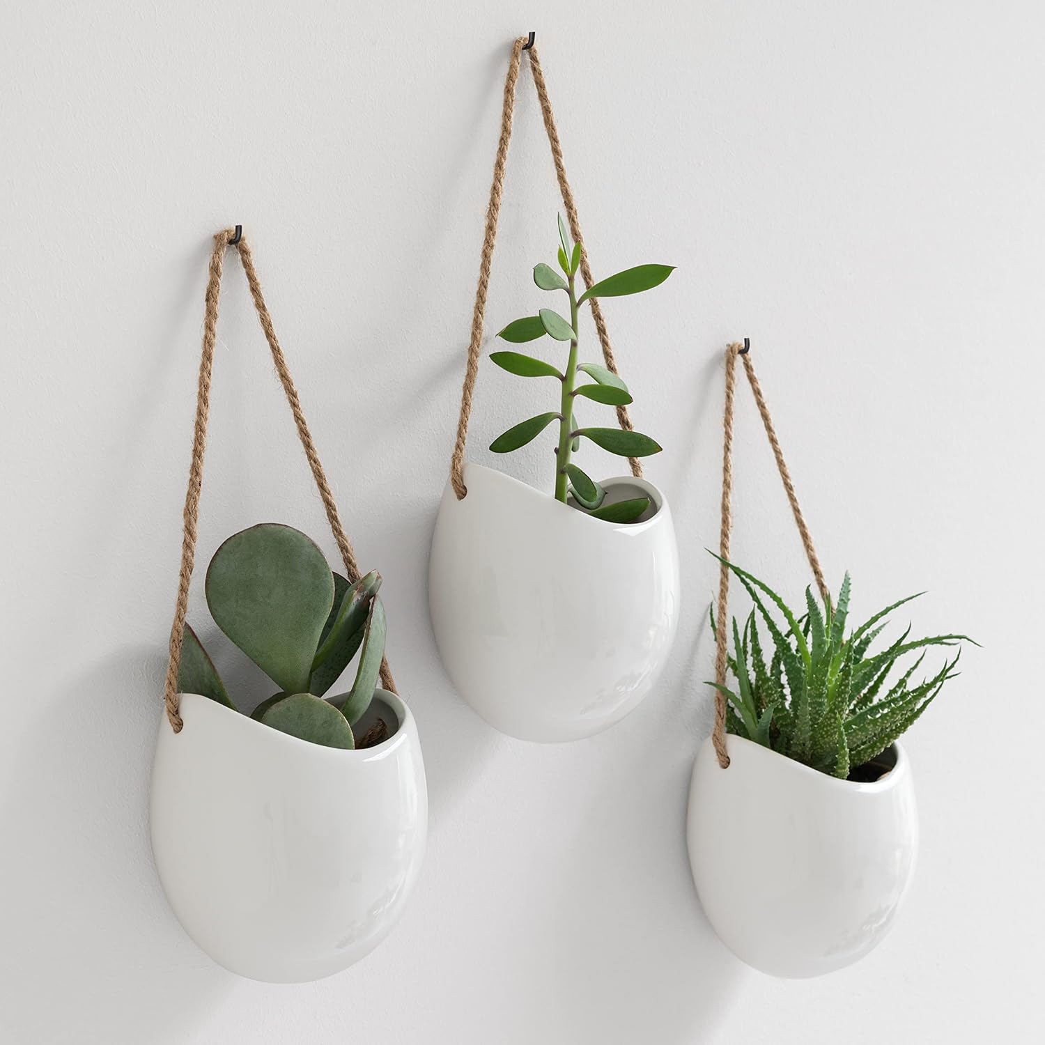 Kazai Ellie 3 Hanging Ceramic Wall Planters