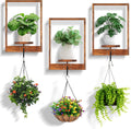 3 Pack Solid Wood Wall Planter Shelf