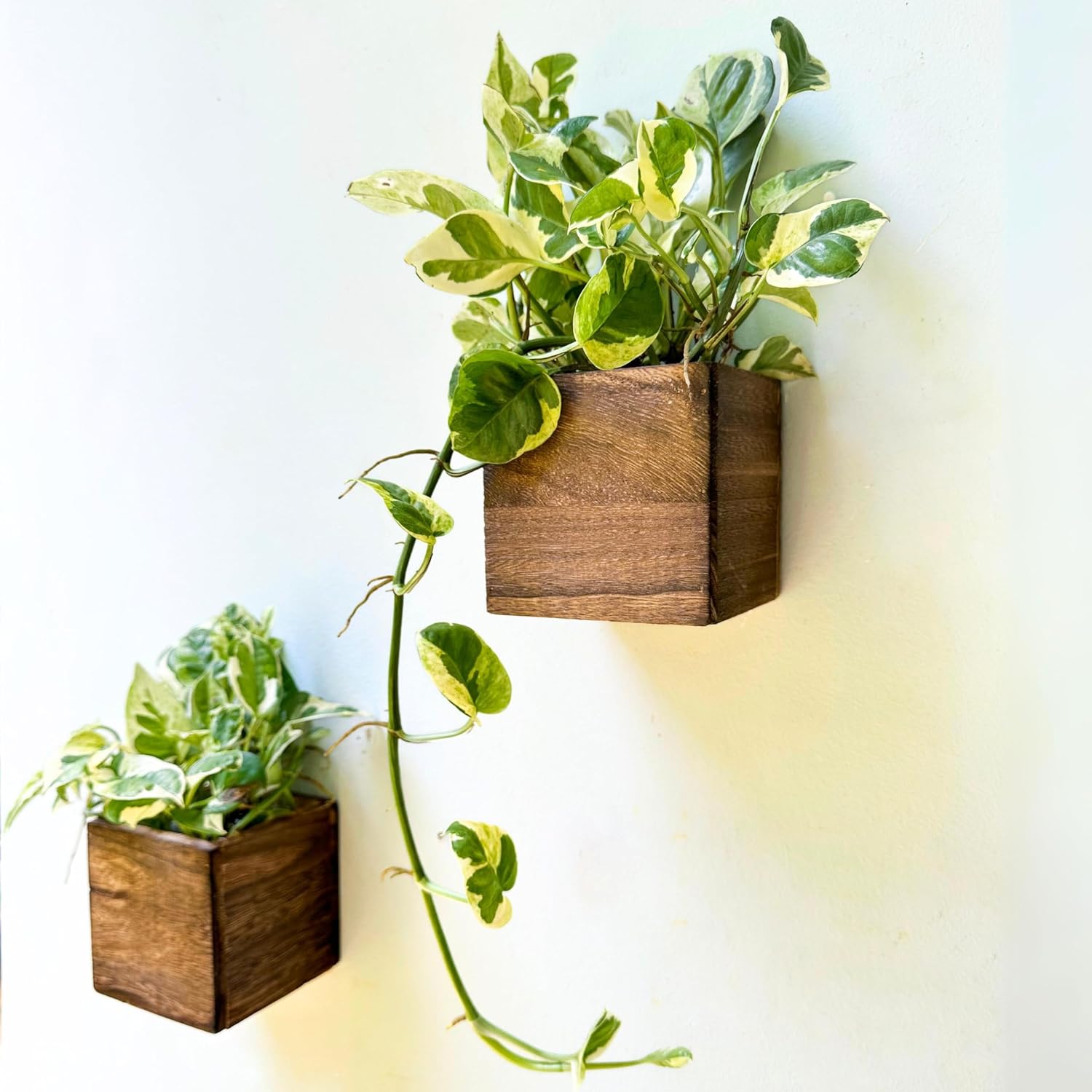 LaLaGreen 8 Pack Wooden Wall Planter Boxes