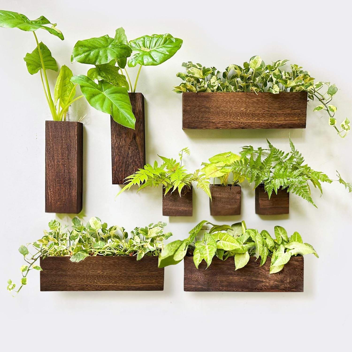 LaLaGreen 6 Pack Wooden Wall Planter Boxes