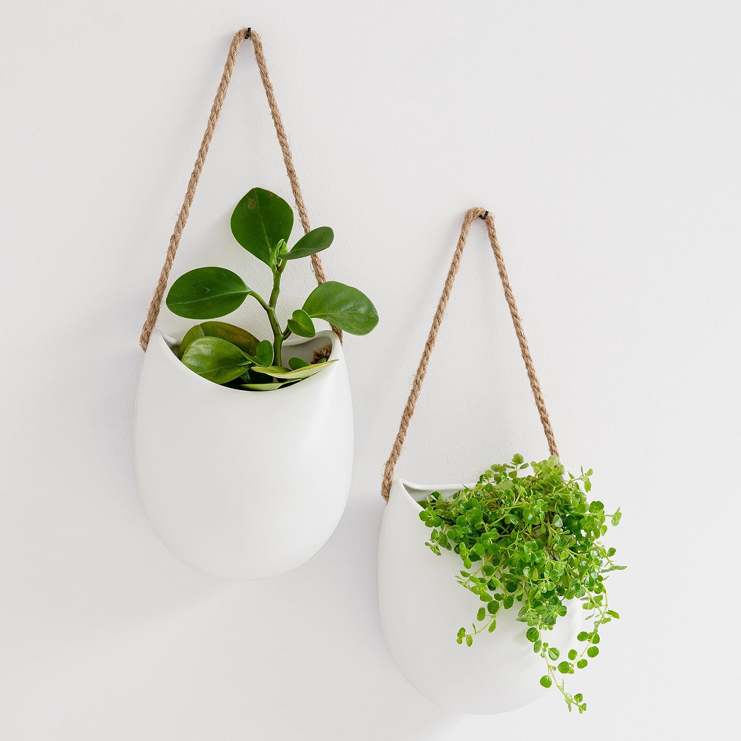 Kazai Ellie 3 Hanging Ceramic Wall Planters