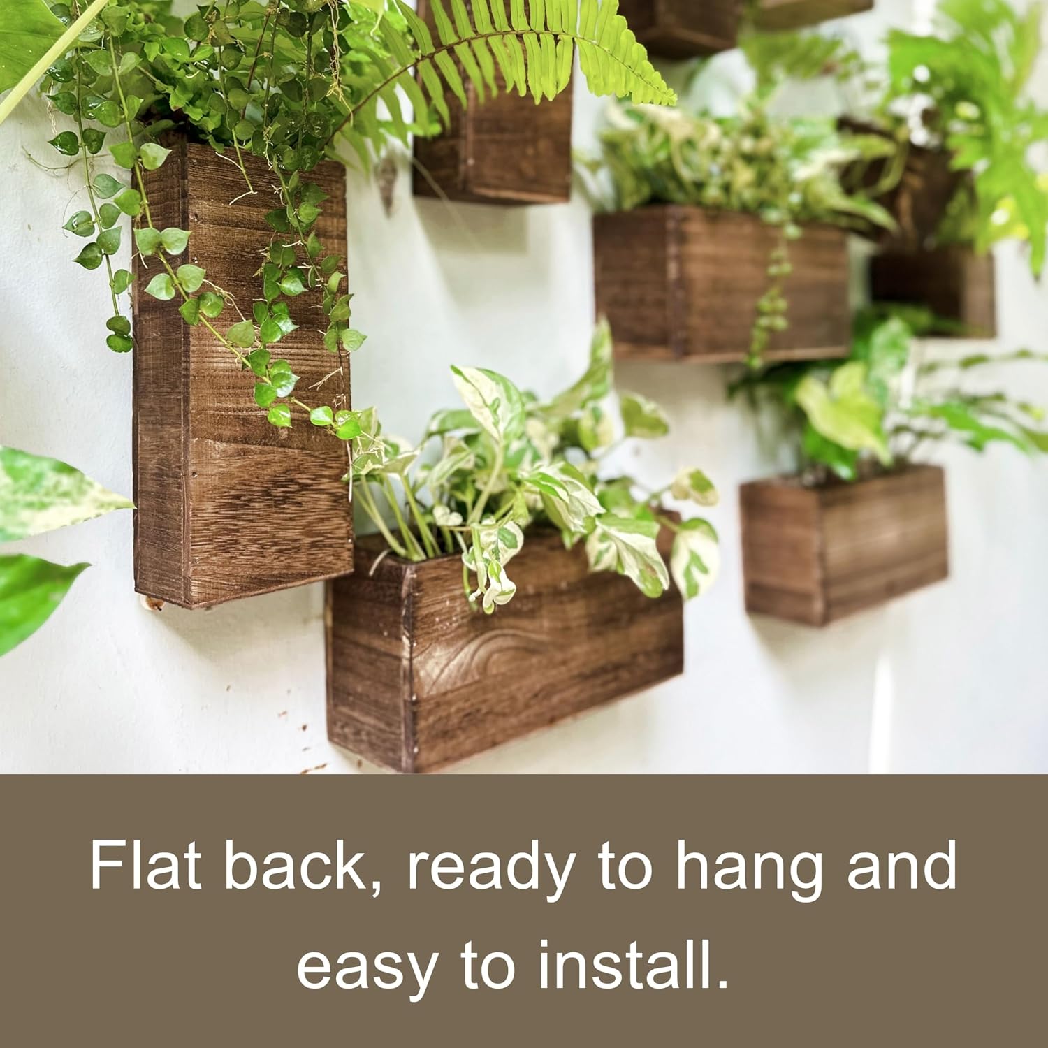 LaLaGreen 6 Pack Wooden Wall Planter Boxes