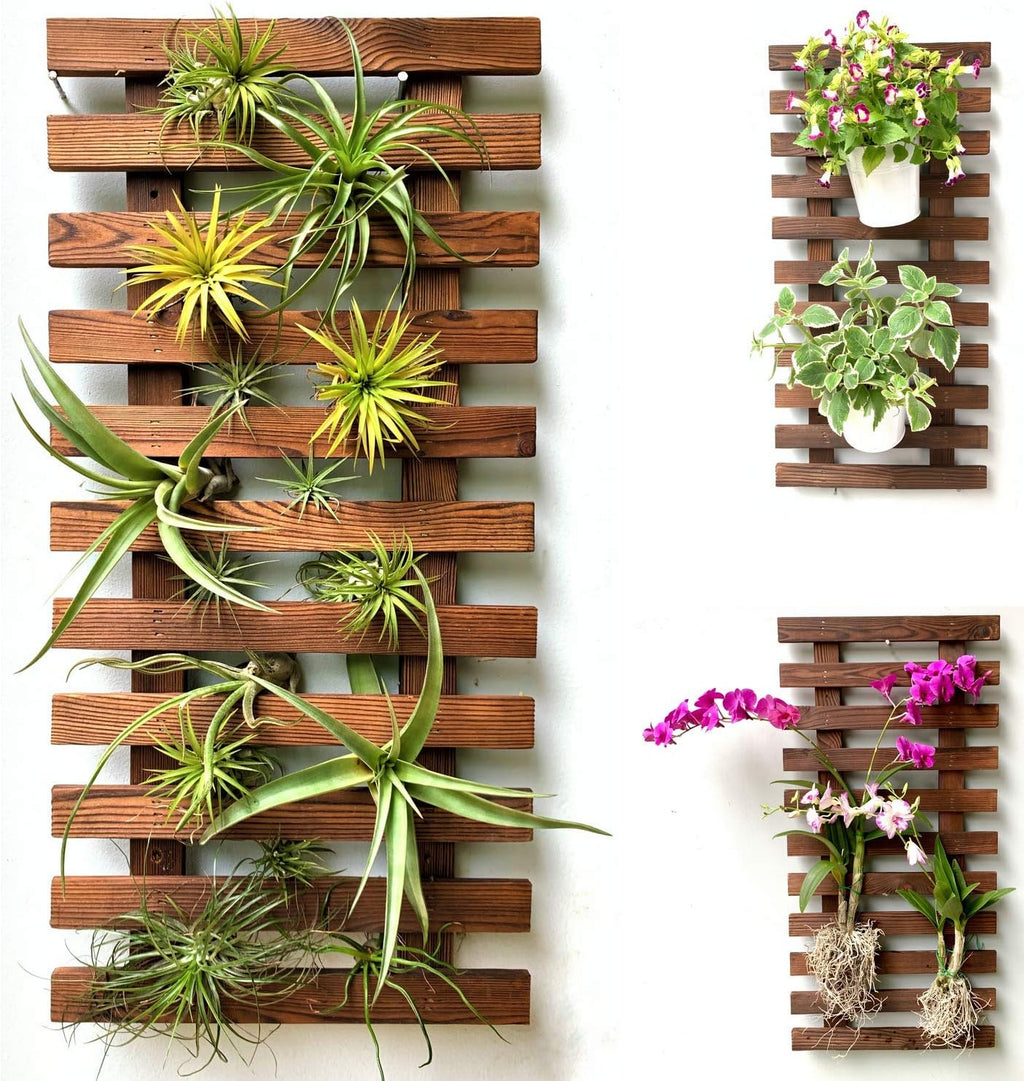 ShopLaLa 2 Pack Wooden Wall Planters