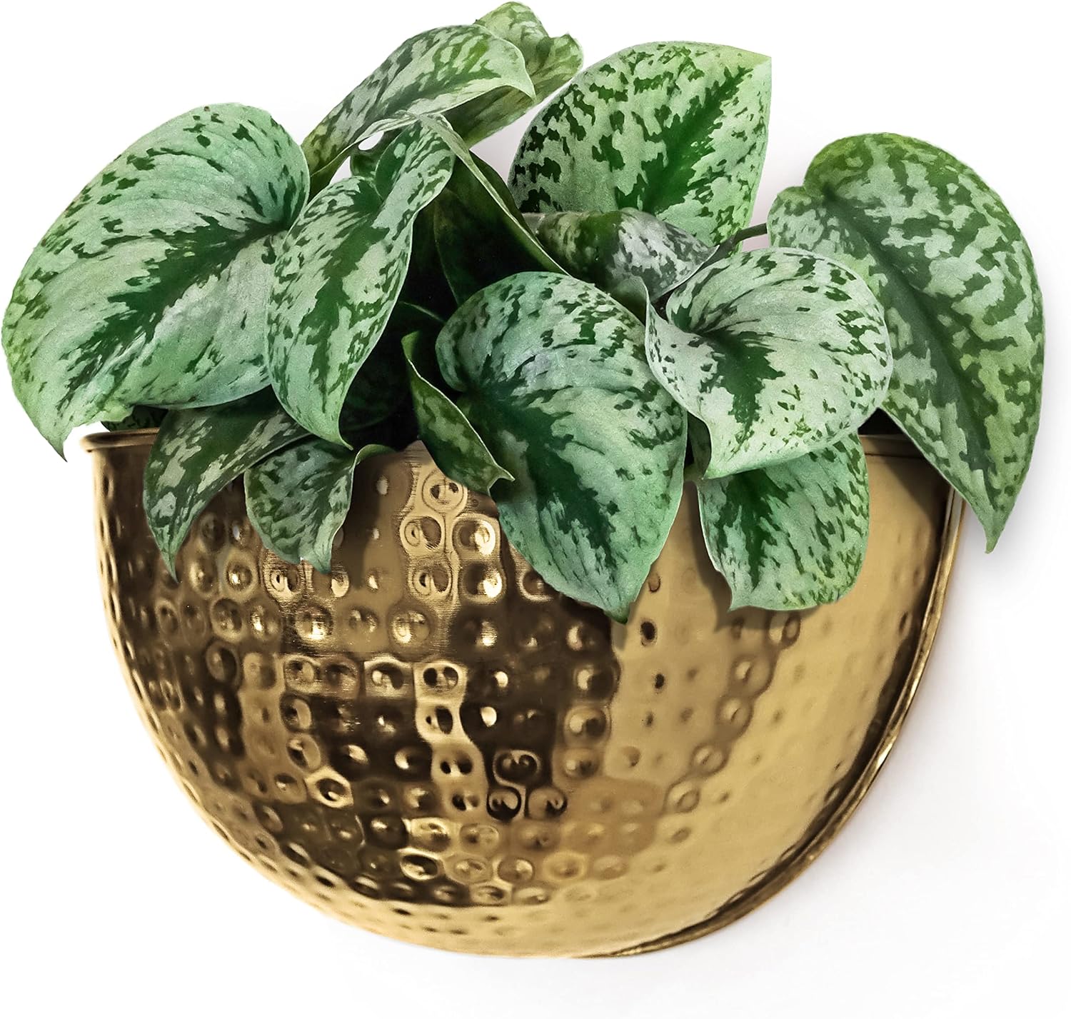 Allegorie Gold Metal Wall Planter