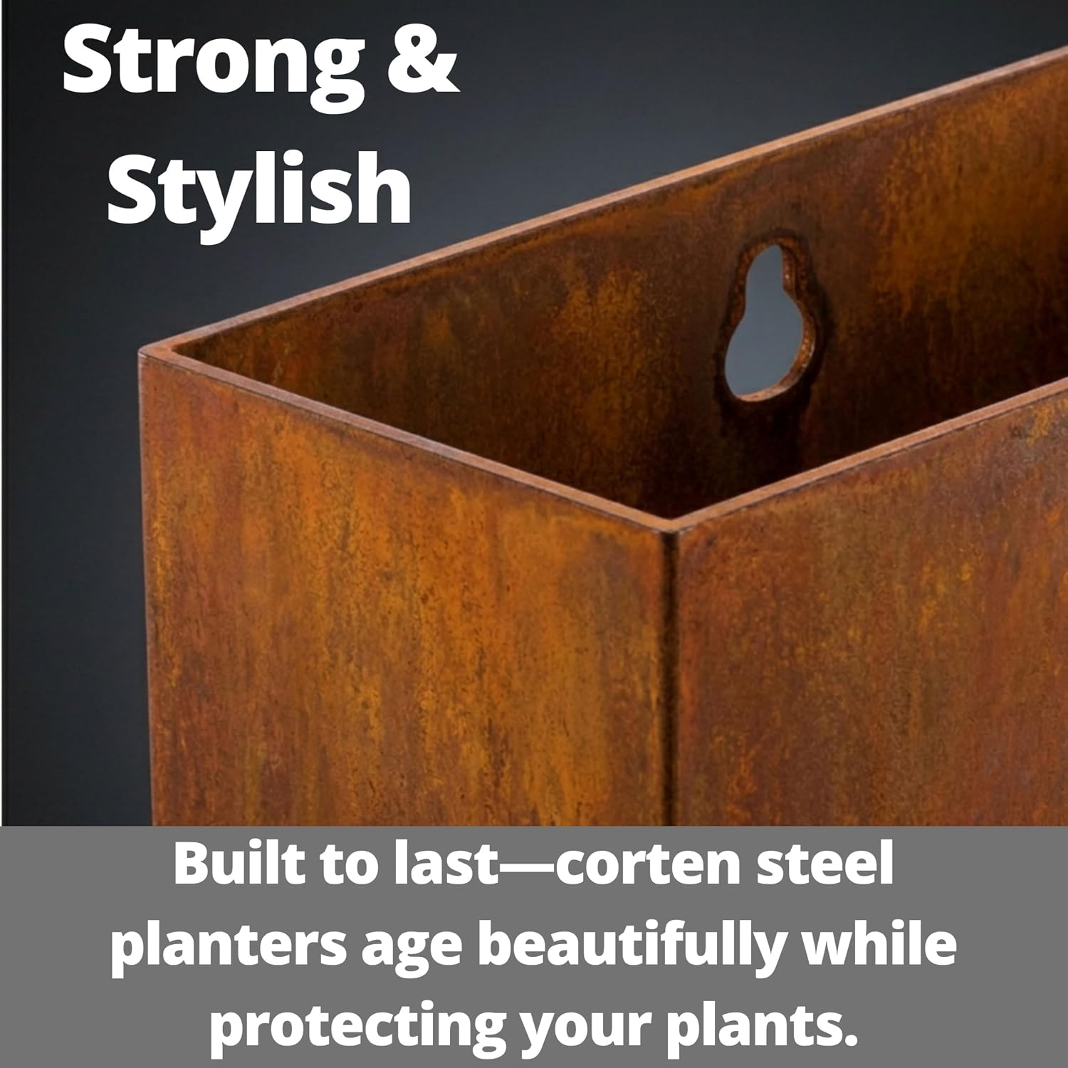 LaLaGreen 2 Pack Corten Steel Wall Planters