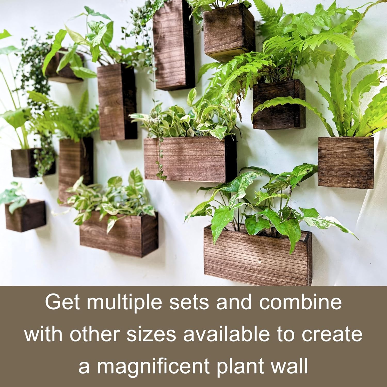 LaLaGreen 6 Pack Wooden Wall Planter Boxes