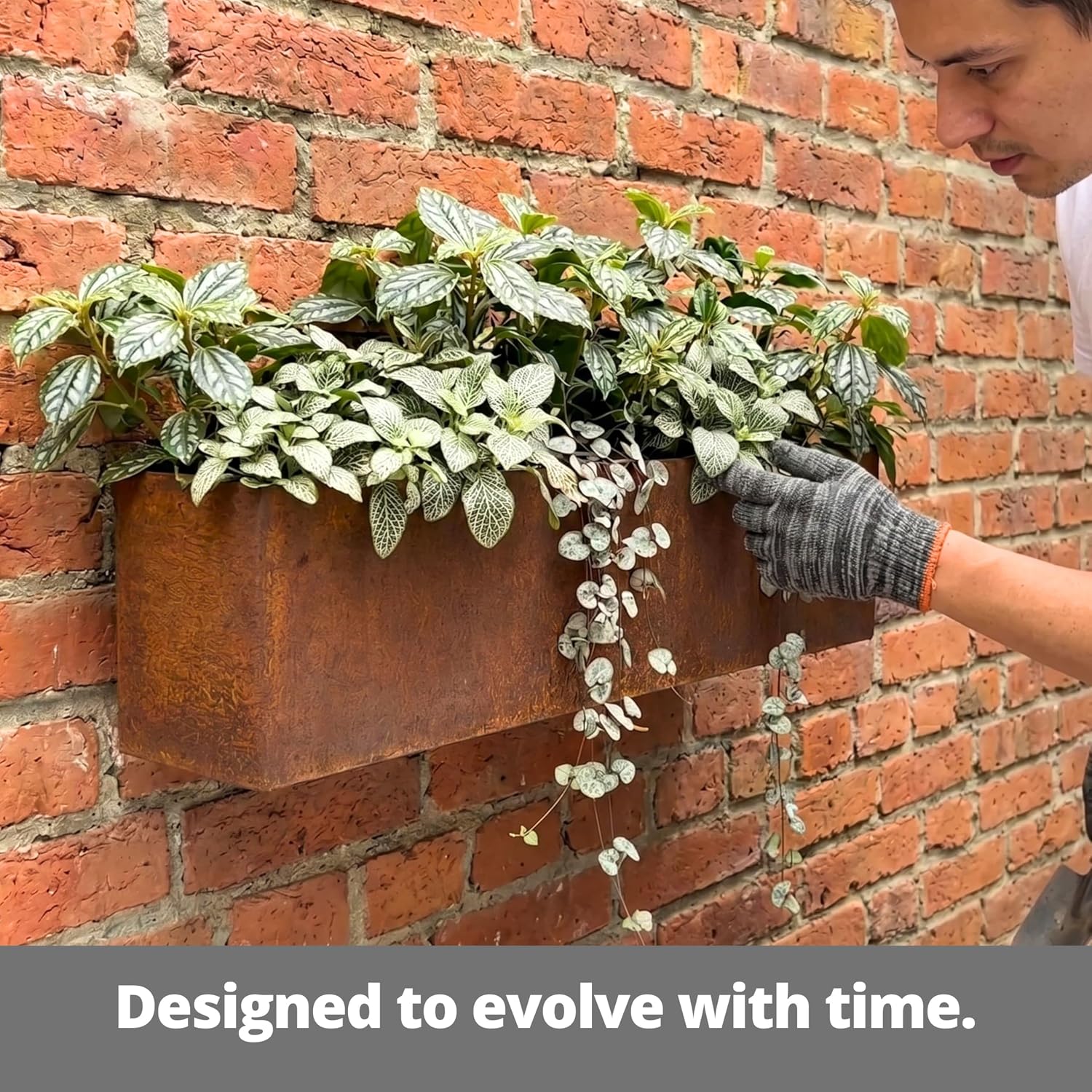 LaLaGreen 2 Pack Corten Steel Wall Planters