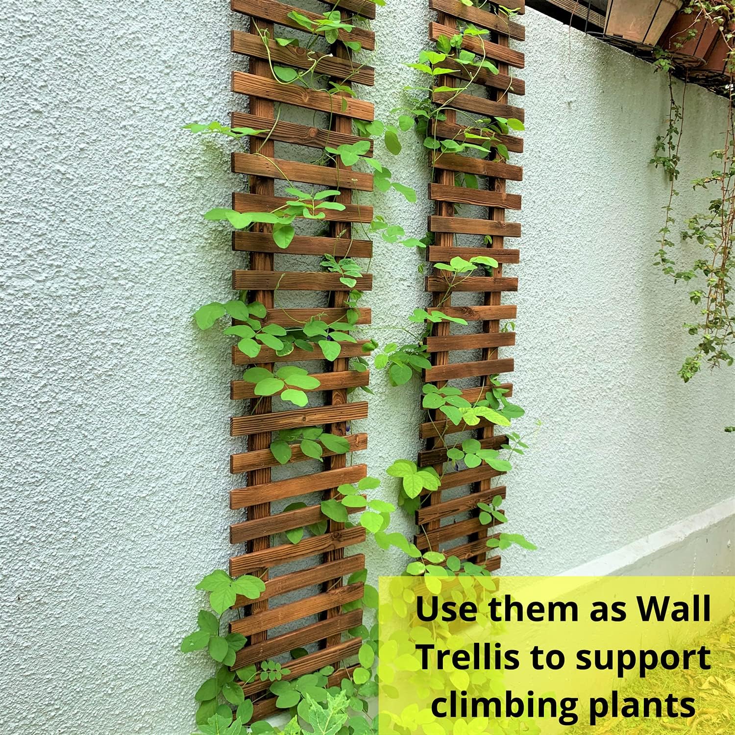 ShopLaLa 2 Pack Wooden Wall Planters