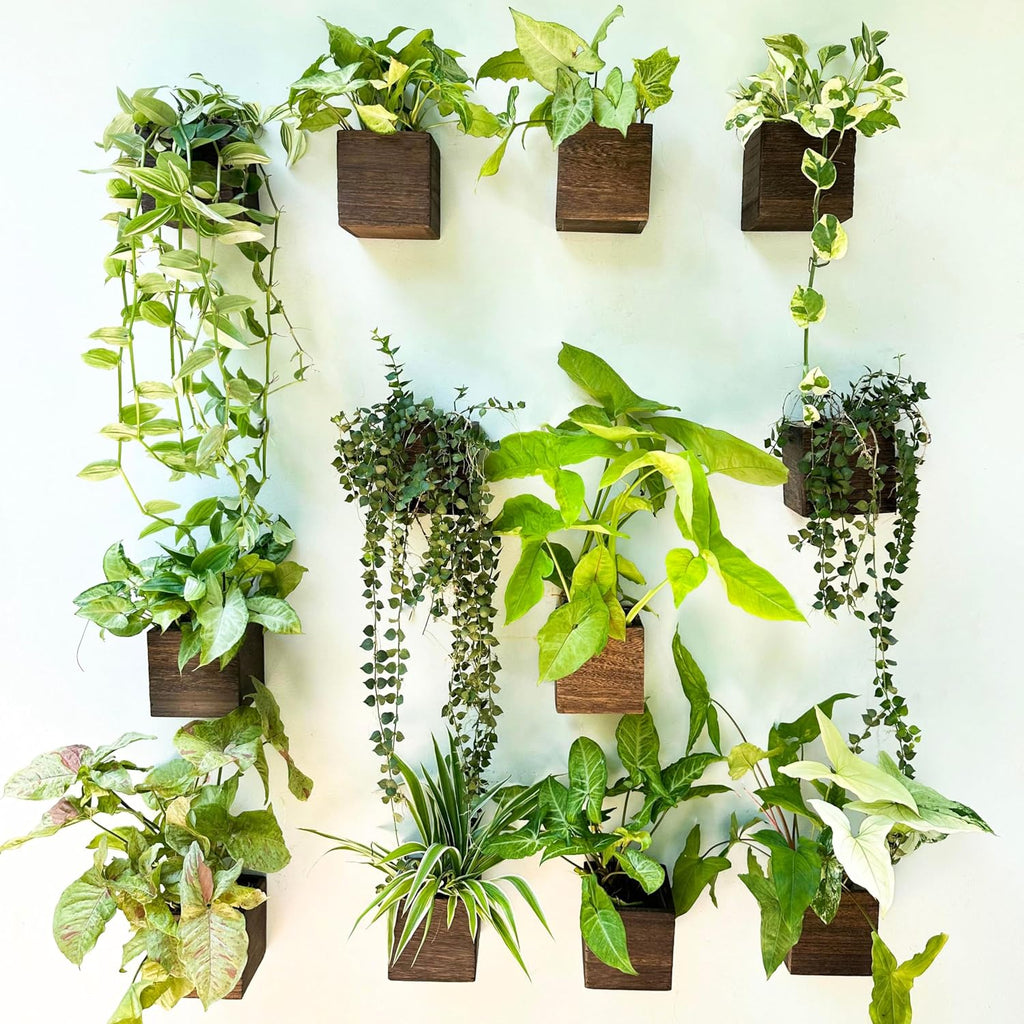 LaLaGreen 8 Pack Wooden Wall Planter Boxes